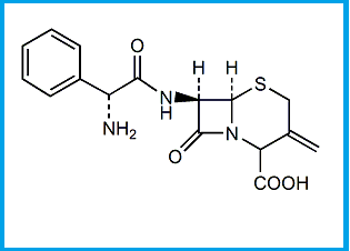 CEFACLOR EP IMPURITY G